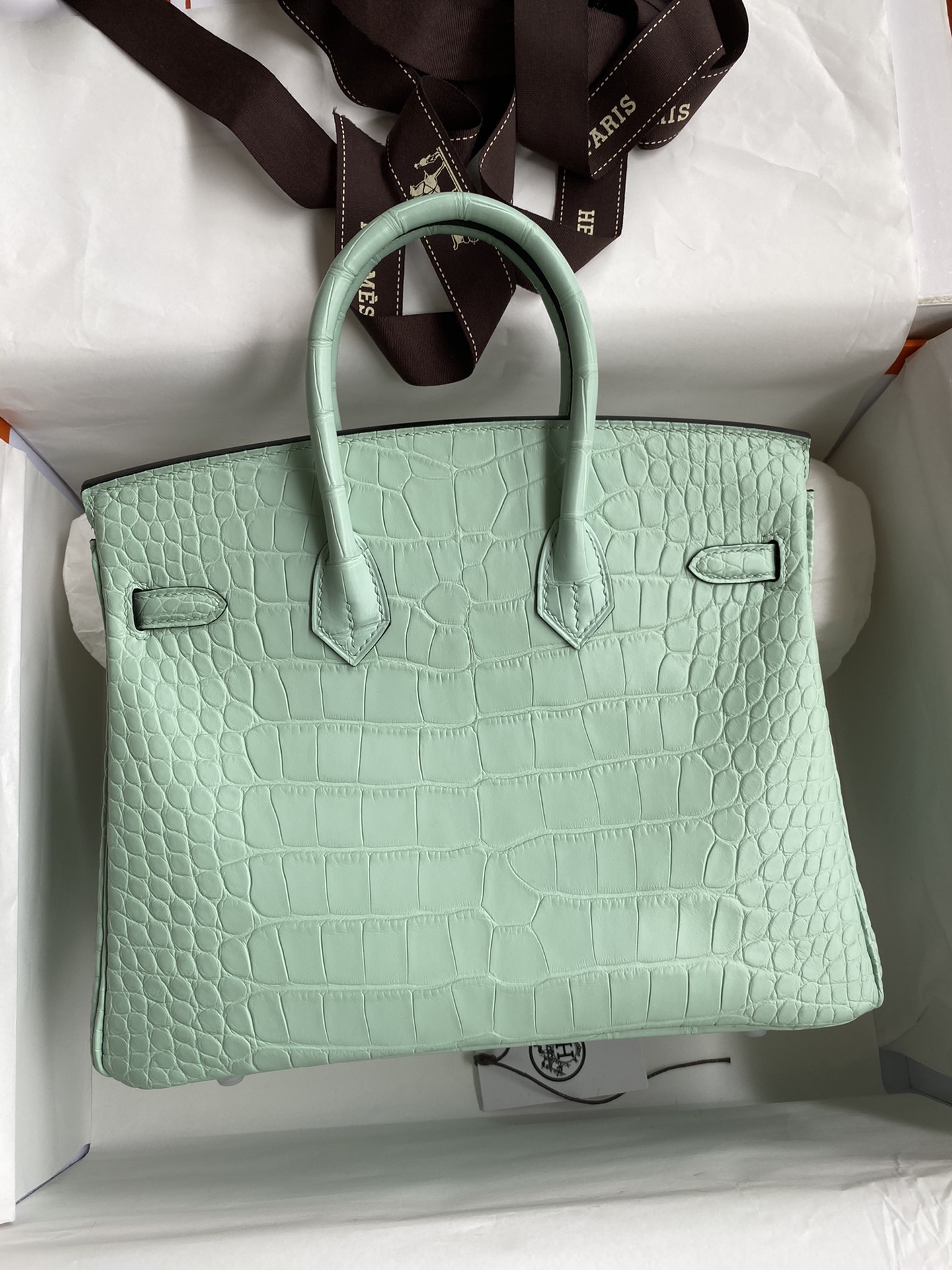 Hermes Birkin 25CM Handmade Bag In Vert D'eau Matte Alligator Leather